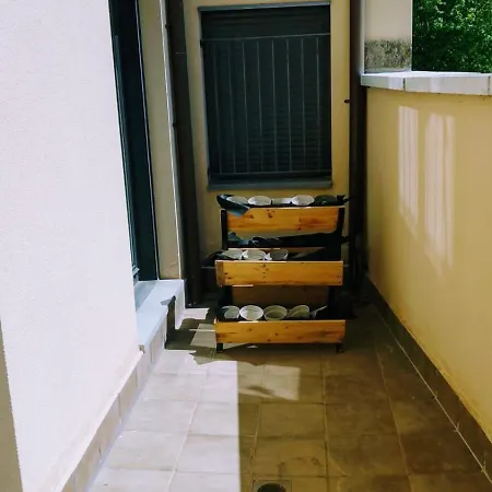 El Rincon Del Angel Apartment Jaca